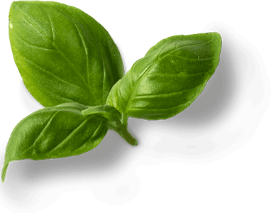 banner-bg-3.png