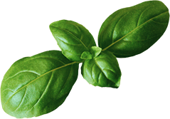 banner-bg-5.png