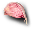 pizza-12.png