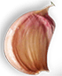 pizza-3.png