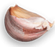 pizza-4.png
