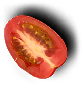 pizza-8.png