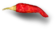 pizza-9.png